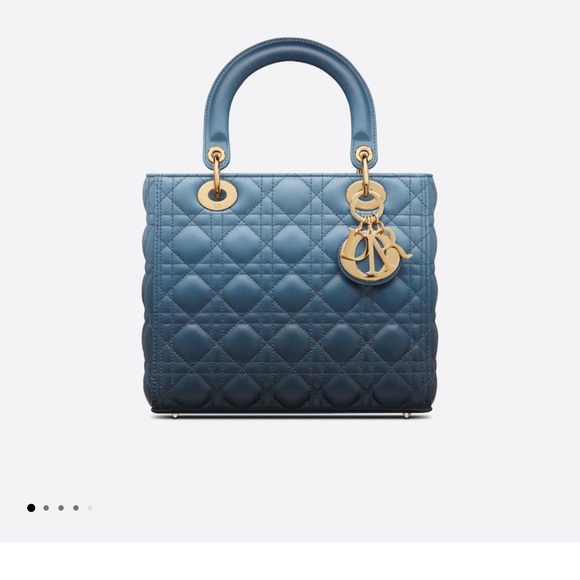 Dior Handbags - Brand new Dior bag! In store without tax 6100$  selling for 4500
